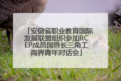 安徽省职业教育国际发展联盟组织参加RCEP成员国暨长三角工商界青年对话会