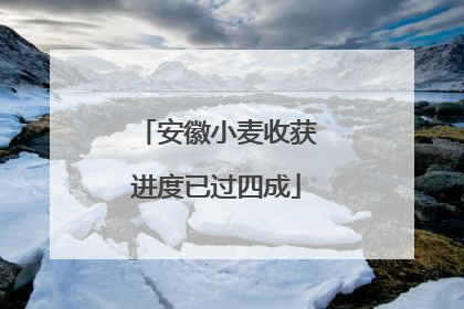 安徽小麦收获进度已过四成