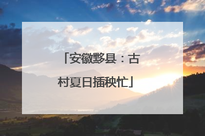 安徽黟县：古村夏日插秧忙