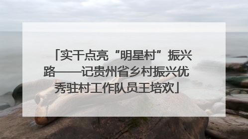 实干点亮“明星村”振兴路——记贵州省乡村振兴优秀驻村工作队员王培欢
