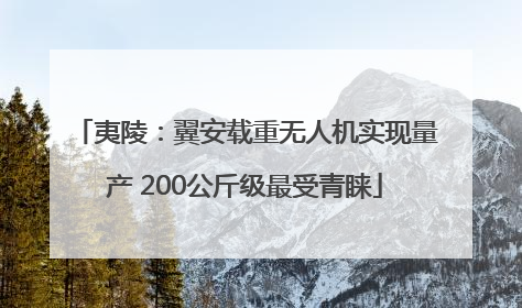 夷陵：翼安载重无人机实现量产 200公斤级最受青睐