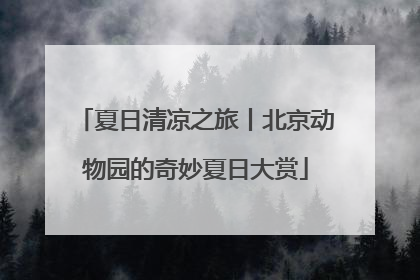 夏日清凉之旅丨北京动物园的奇妙夏日大赏