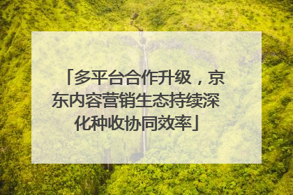 多平台合作升级，京东内容营销生态持续深化种收协同效率