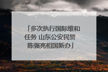 多次执行国际维和任务 山东公安民警陈强亮相国新办