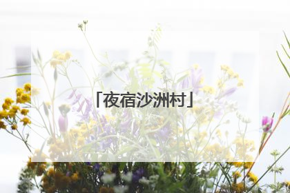 夜宿沙洲村