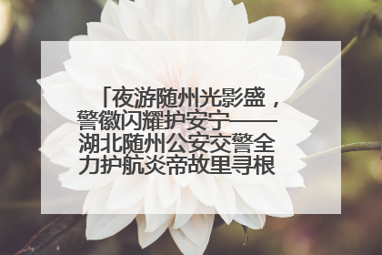 夜游随州光影盛，警徽闪耀护安宁——湖北随州公安交警全力护航炎帝故里寻根节夜游活动侧记