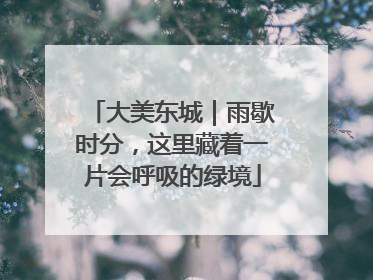 大美东城｜雨歇时分，这里藏着一片会呼吸的绿境