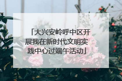 大兴安岭呼中区开展我在新时代文明实践中心过端午活动