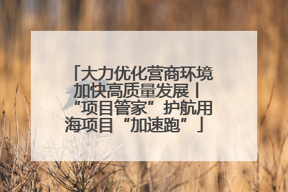 大力优化营商环境 加快高质量发展丨“项目管家”护航用海项目“加速跑”