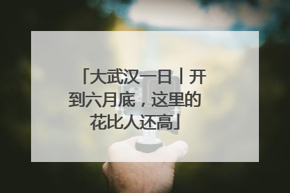 大武汉一日︱开到六月底，这里的花比人还高