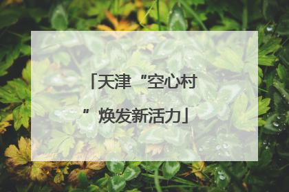 天津“空心村”焕发新活力