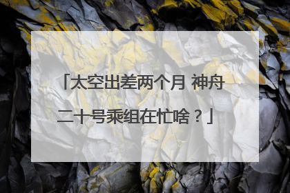 太空出差两个月 神舟二十号乘组在忙啥？