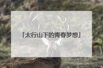 太行山下的青春梦想