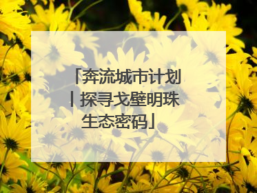 奔流城市计划丨探寻戈壁明珠生态密码
