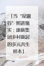 当“星露谷”照进现实：康旅集团乡村旅居的多元共生样本