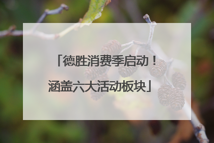 德胜消费季启动！涵盖六大活动板块