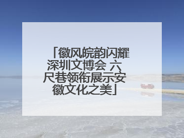 徽风皖韵闪耀深圳文博会 六尺巷领衔展示安徽文化之美