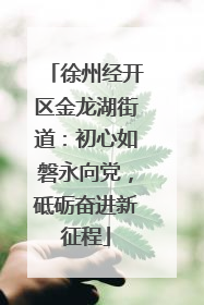 徐州经开区金龙湖街道：初心如磐永向党，砥砺奋进新征程