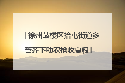 徐州鼓楼区拾屯街道多管齐下助农抢收夏粮