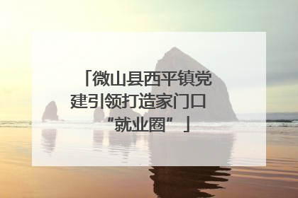 微山县西平镇党建引领打造家门口“就业圈”