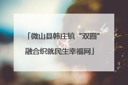 微山县韩庄镇“双圈”融合织就民生幸福网