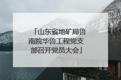 山东省地矿局鲁南院华鲁工程党支部召开党员大会
