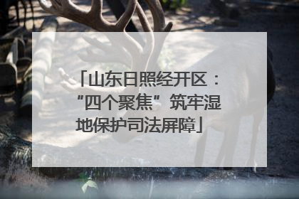 山东日照经开区：“四个聚焦”筑牢湿地保护司法屏障