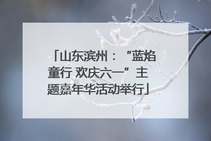 山东滨州：“蓝焰童行 欢庆六一”主题嘉年华活动举行