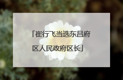 崔行飞当选东昌府区人民政府区长