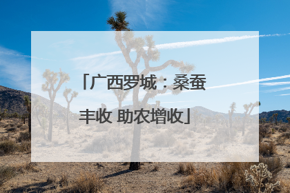 广西罗城：桑蚕丰收 助农增收