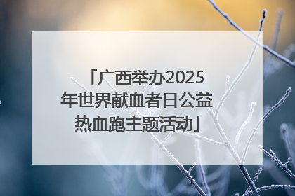 广西举办2025年世界献血者日公益热血跑主题活动
