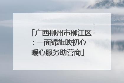 广西柳州市柳江区：一面锦旗映初心 暖心服务助营商