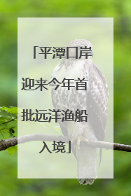 平潭口岸迎来今年首批远洋渔船入境