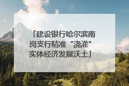 建设银行哈尔滨南岗支行精准“浇灌”实体经济发展沃土