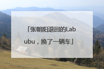张朝阳退回的Labubu，换了一辆车