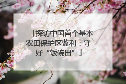 探访中国首个基本农田保护区监利：守好“饭碗田”