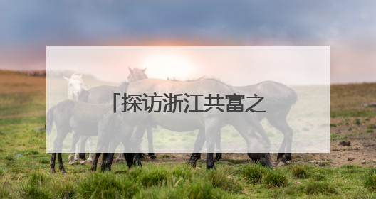 探访浙江共富之“路”：县城“虾路”焕生机