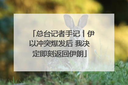总台记者手记丨伊以冲突爆发后 我决定即刻返回伊朗