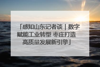 感知山东记者谈｜数字赋能工业转型 枣庄打造高质量发展新引擎