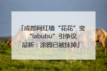 成都网红墙“花花”变“labubu”引争议 最新：涂鸦已被抹掉