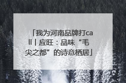 我为河南品牌打call丨应旺：品味“毛尖之都”的诗意栖居