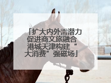 扩大内外需潜力 促进商文旅融合 港城天津构建“大消费”强磁场