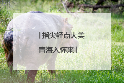 指尖轻点大美青海入怀来