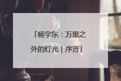杨宇东：万里之外的灯光｜序言