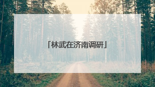 林武在济南调研