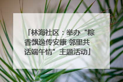 林海社区：举办“粽香飘逸传安康 邻里共话端午情”主题活动