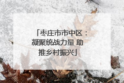 枣庄市市中区：凝聚统战力量 助推乡村振兴