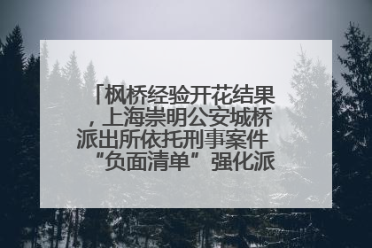 枫桥经验开花结果，上海崇明公安城桥派出所依托刑事案件“负面清单”强化派出所“主防”