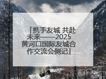携手友城 共赴未来——2025黄河口国际友城合作交流会侧记
