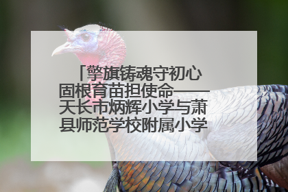 擎旗铸魂守初心 固根育苗担使命——天长市炳辉小学与萧县师范学校附属小学结对共建活动纪实